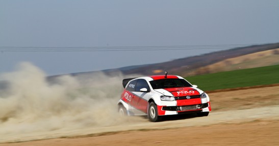 Testy Polo Proto